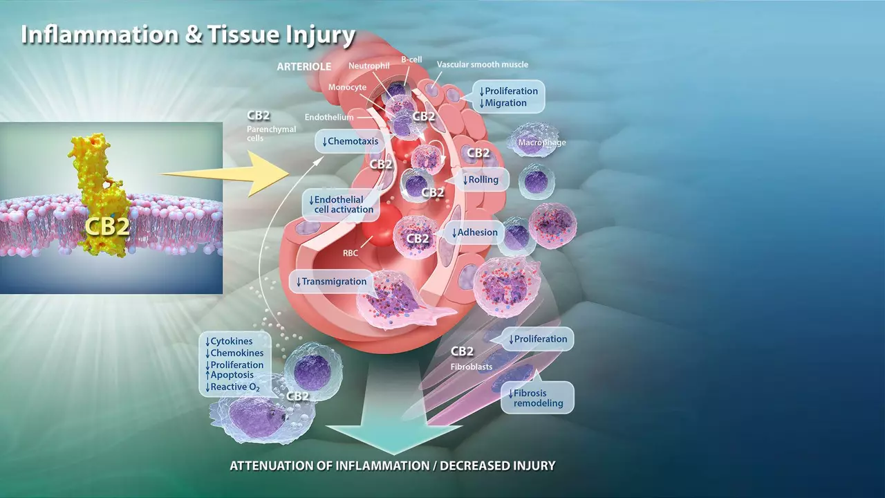 The role of Baricitinib in treating Sarcoidosis