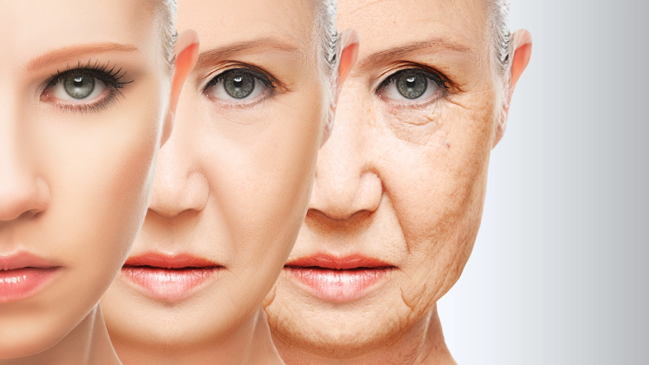How estriol can improve skin health and combat aging