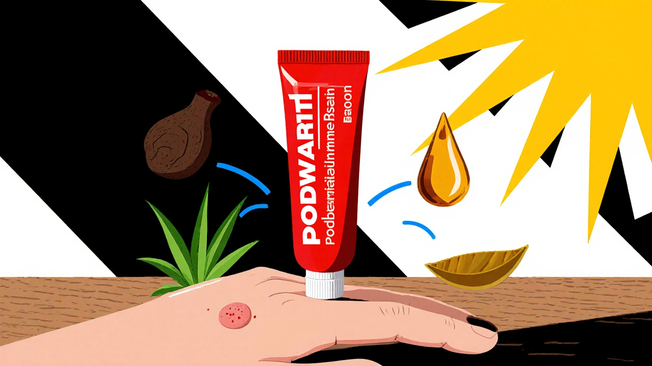 Podowart vs Alternatives: Podophyllum Resin, Benzoin & Aloe Vera Comparison